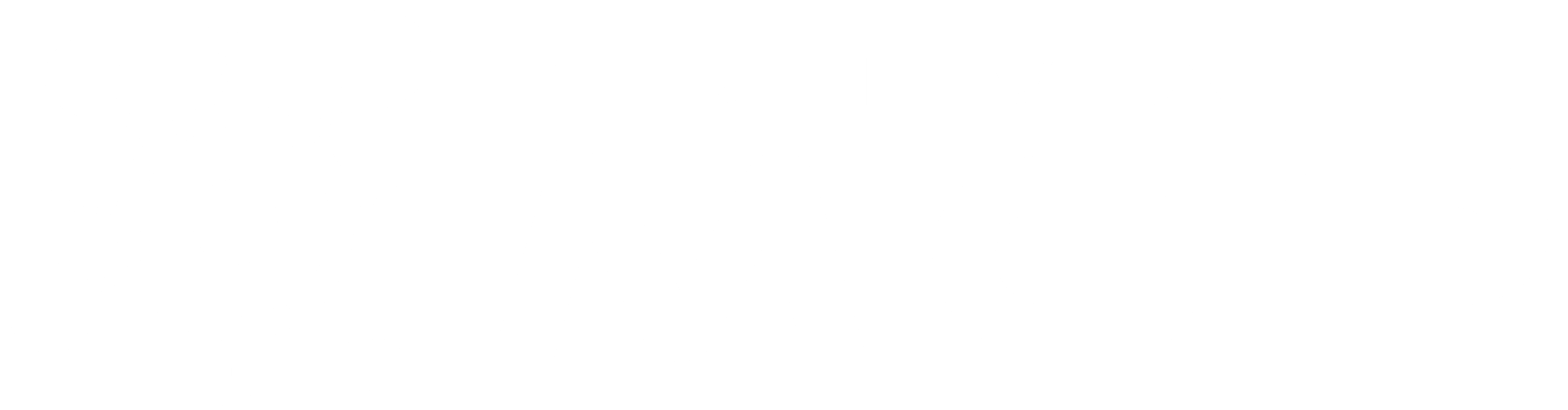 Private-MCP-Logo2 Private-MCP-Logo2